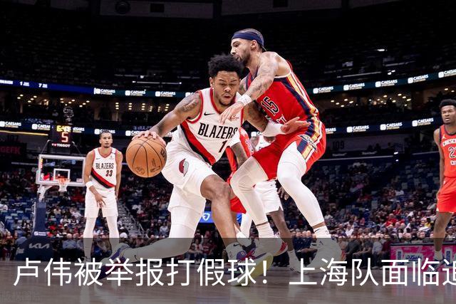 卢伟被举报打假球！上海队面临追罚，张镇麟坑惨球队