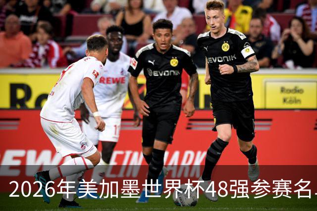 2026年美加墨世界杯48强参赛名单汇总